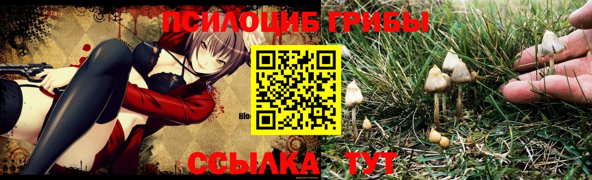Псилоцибиновые грибы мухоморы Кимовск