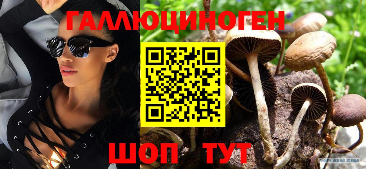 Псилоцибиновые грибы MAGIC MUSHROOMS  Псилоцибиновые грибы ЛСД  Вход с VPN  Кимовск 